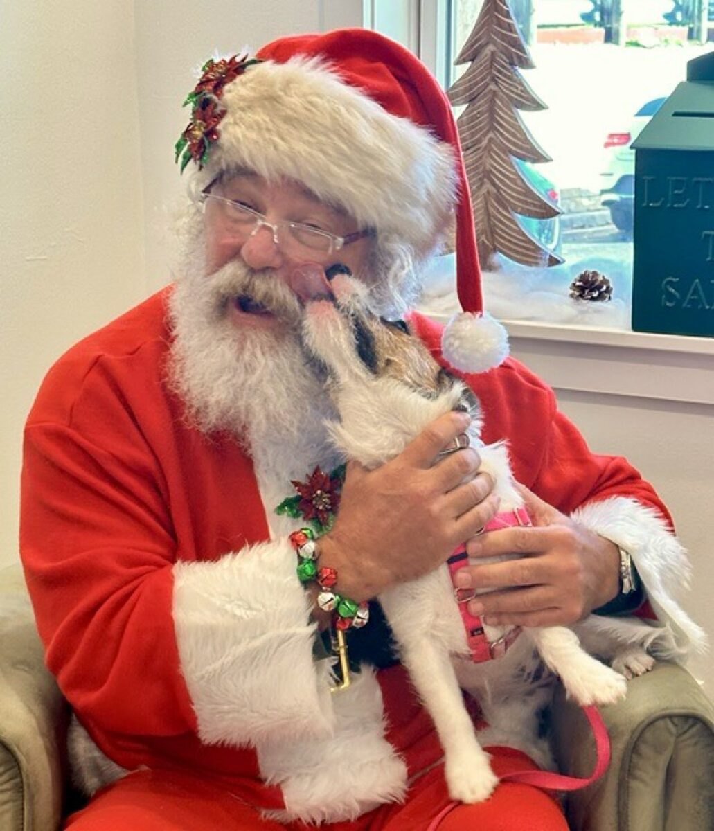 Santa laughing as a dog licks his face
