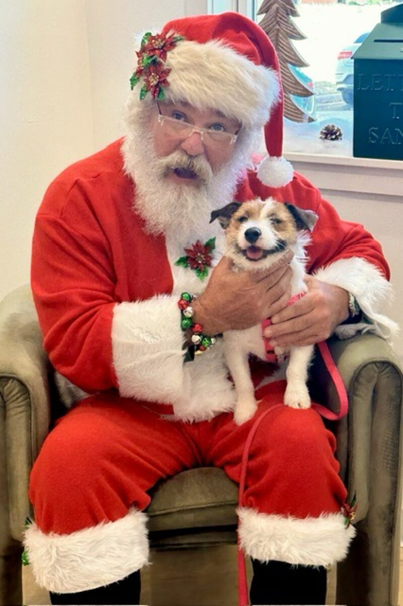 Santa holding a happy small dog